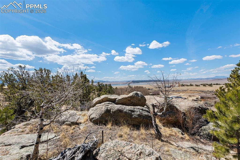 Image 6 of 44: Other