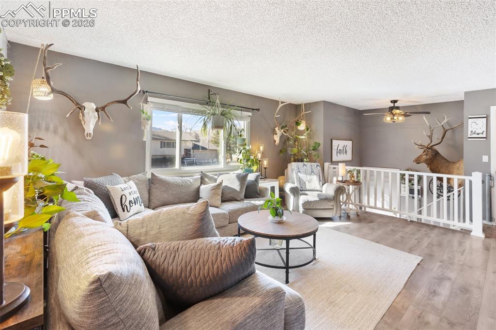 Image 8 of 36: Living Room