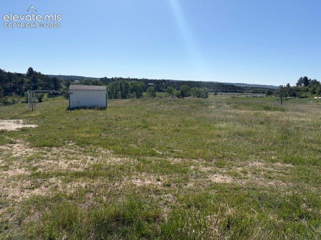 Image 9 of 31: Yard