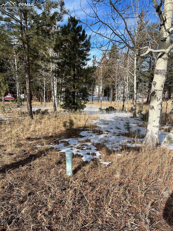 Image 2 of 6: View of yard