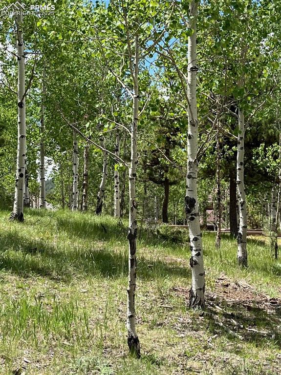 Image 4 of 6: View of nature