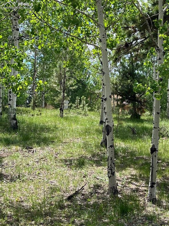 Image 5 of 6: View of nature