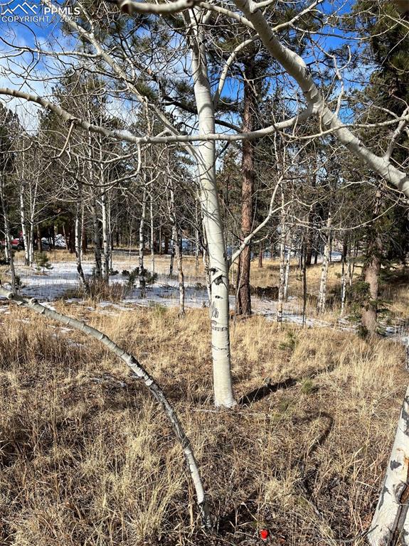 Image 6 of 6: View of yard