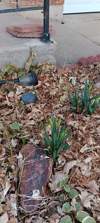 Image 36 of 45: Spring Perennials