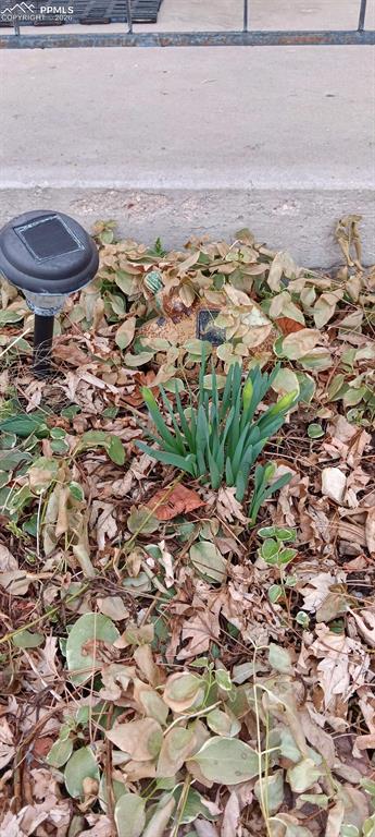 Image 37 of 45: Spring Perennials