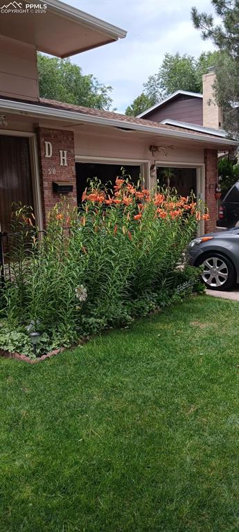 Image 38 of 45: Summer Flowers