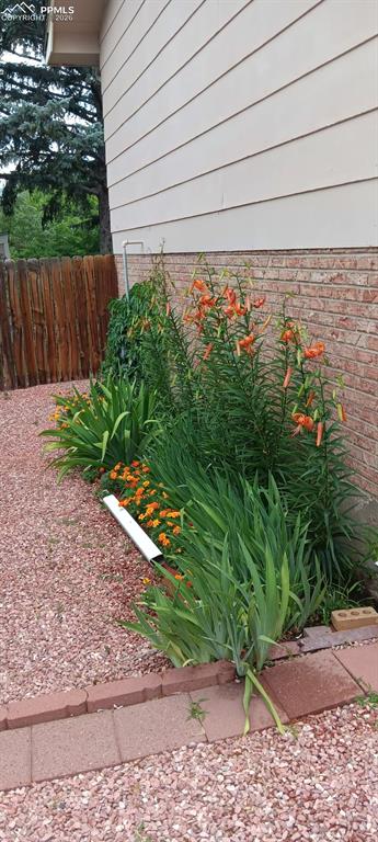 Image 41 of 45: Spring/Summer Flowers