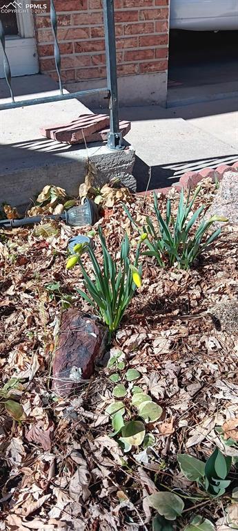 Image 42 of 45: Spring Perennials