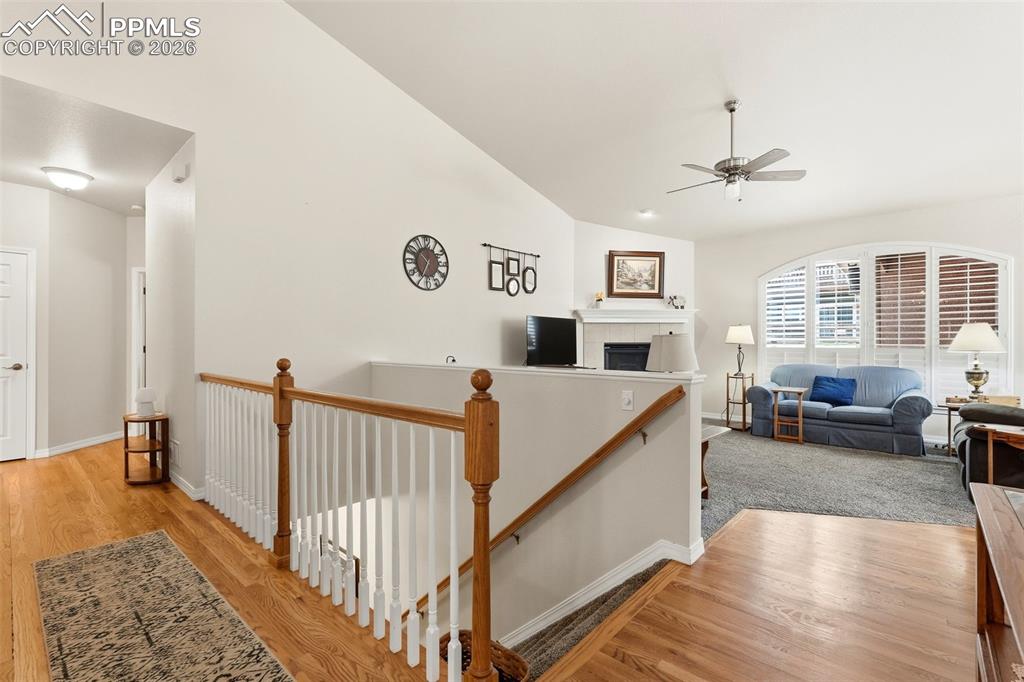 Image 20 of 50: Other