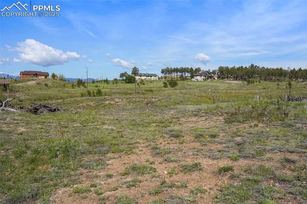 Image 8 of 15: Yard