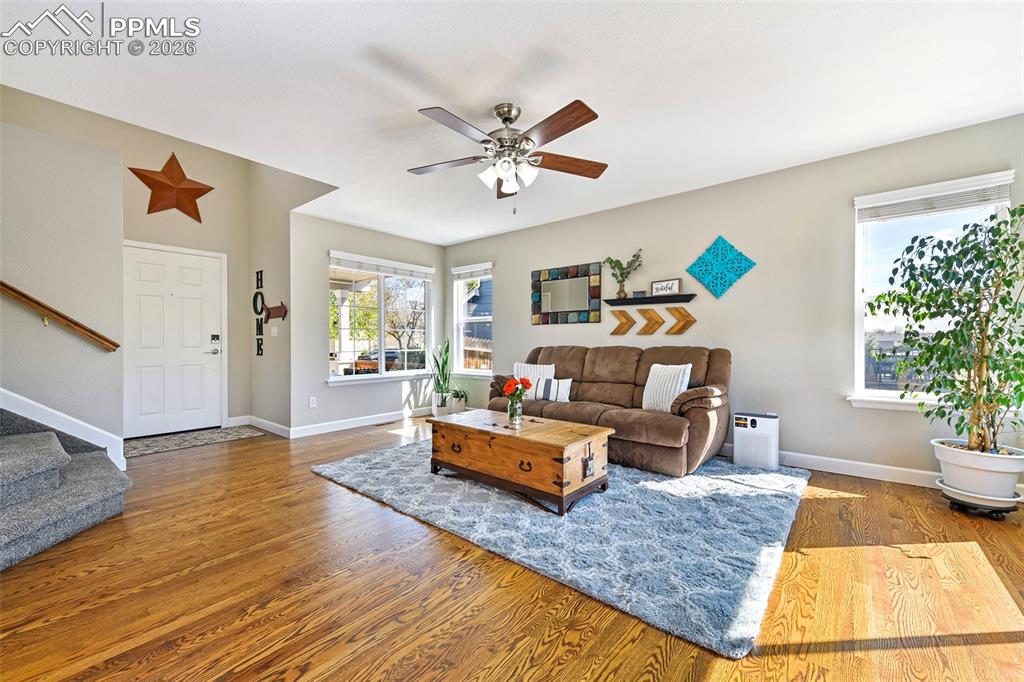 Image 5 of 46: Spacious with large windows