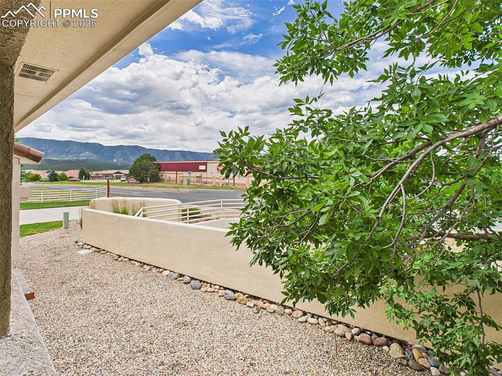 Image 4 of 50: View of Mount Herman and privacy tree!
