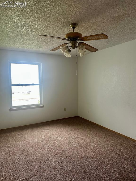 Image 18 of 39: Ceiling fan and lots of natural light.