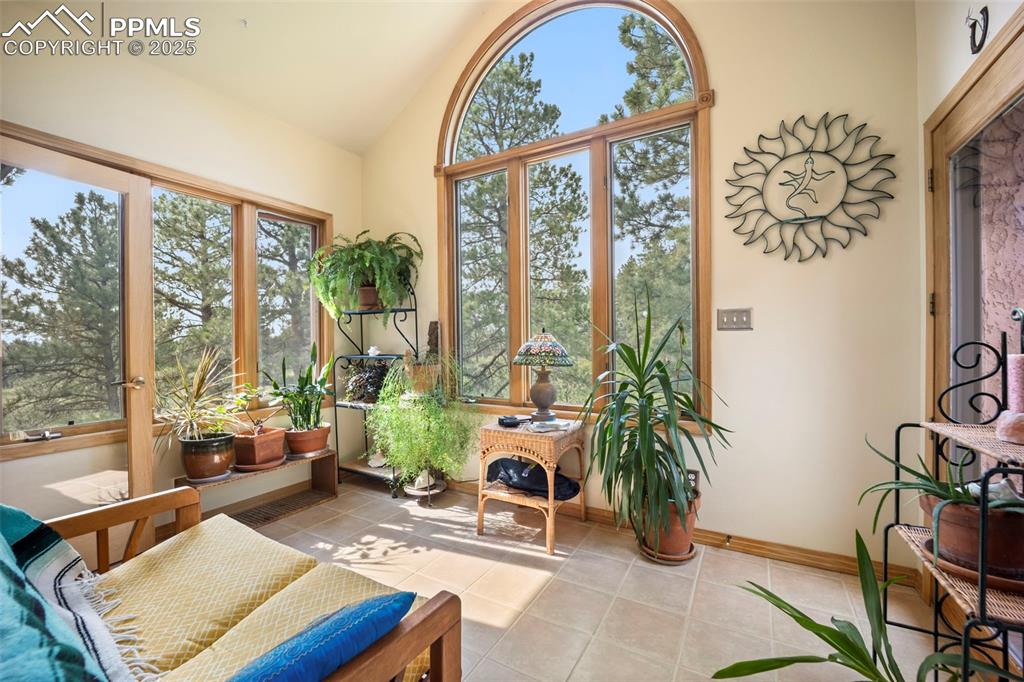 Image 10 of 50: This Sun Room is a Gardener