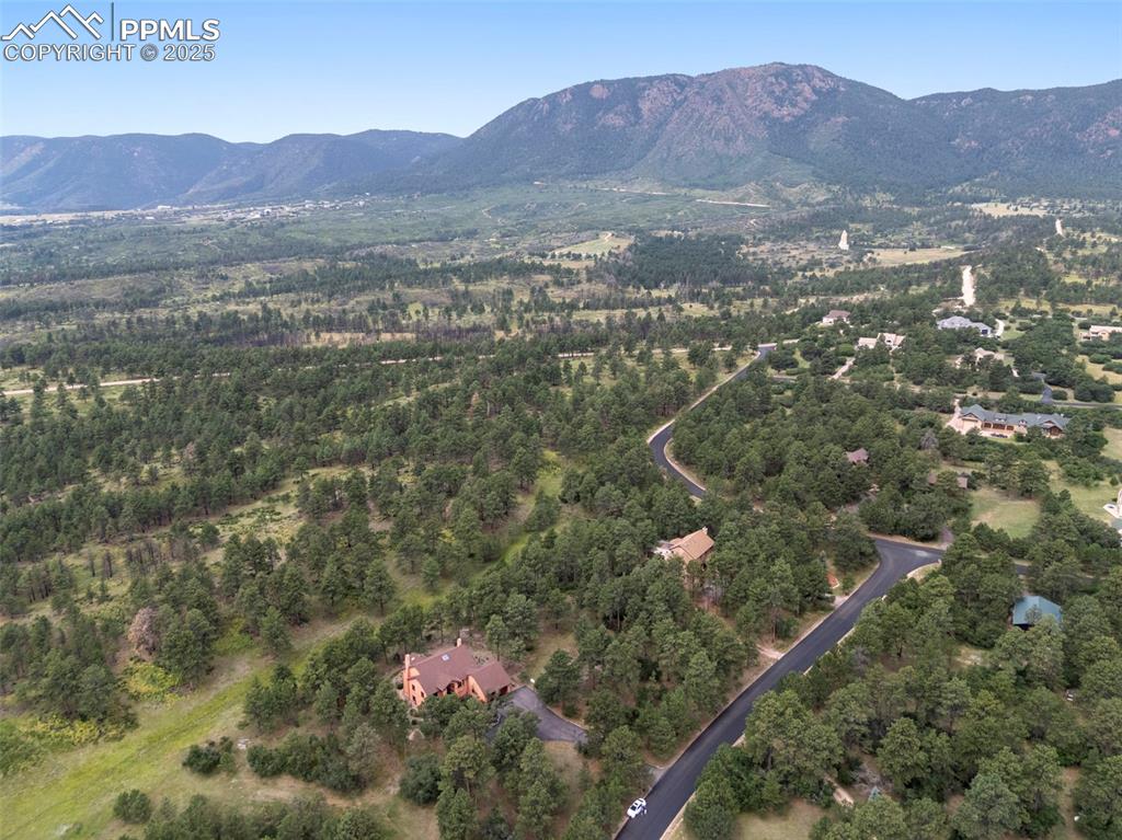Image 46 of 50: This home is adjacent to Pike National Forest for your hiking and biking pl