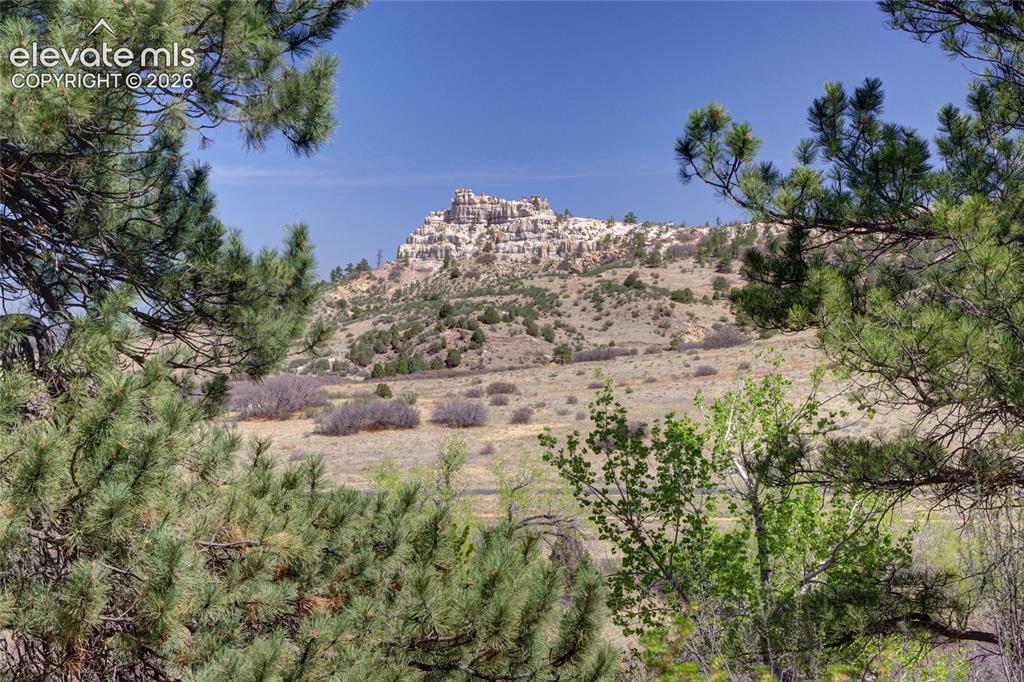 Image 4 of 50: View
