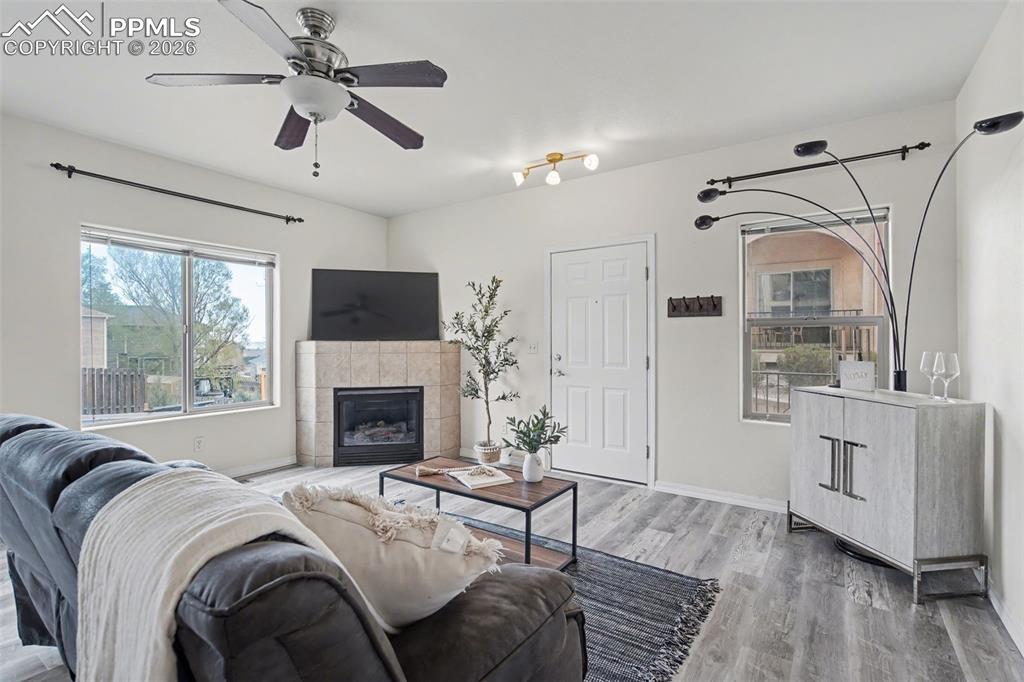 Image 4 of 24: No Description Available