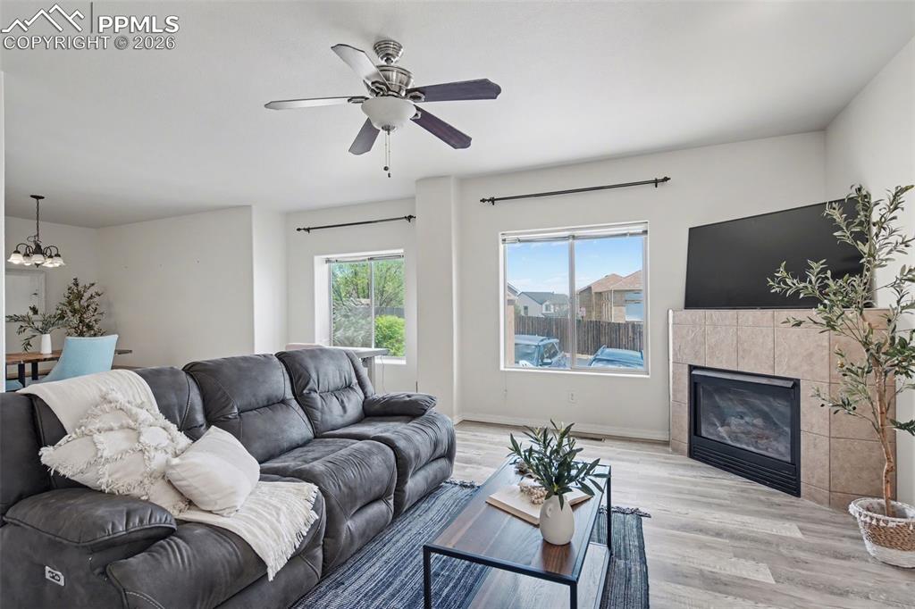 Image 7 of 24: No Description Available