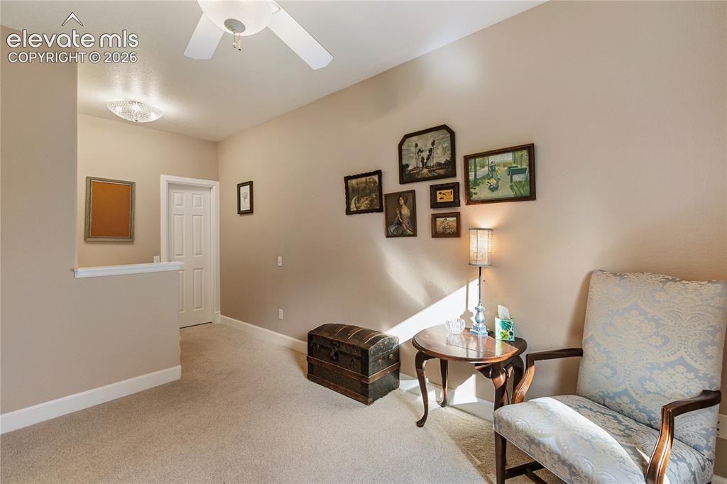 Image 18 of 38: Plush carpeting and a flat panel door with a ceiling fan overhead