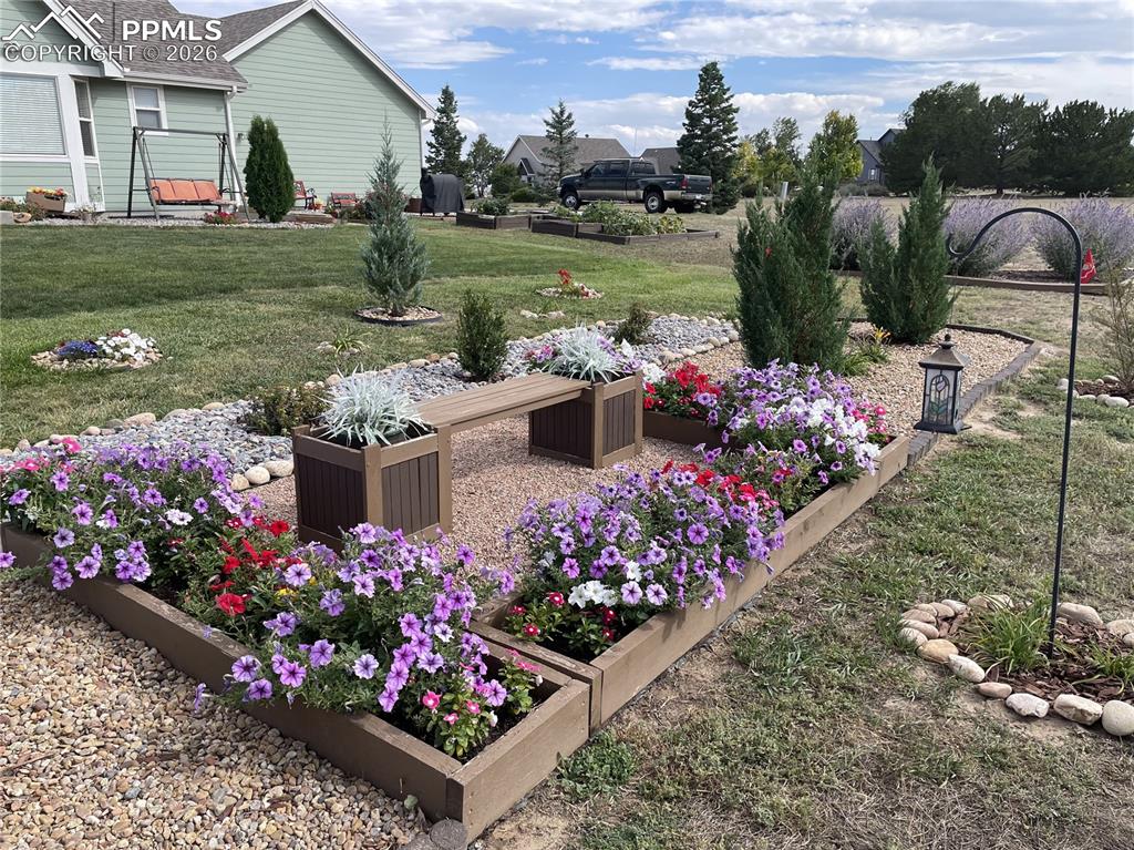 Image 31 of 47: Yard