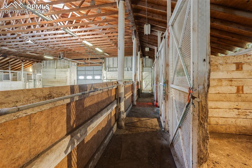 Image 39 of 49: Stable