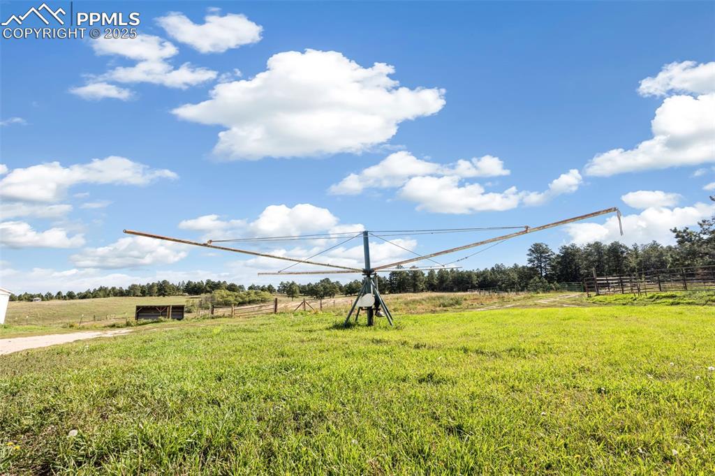 Image 45 of 49: Yard