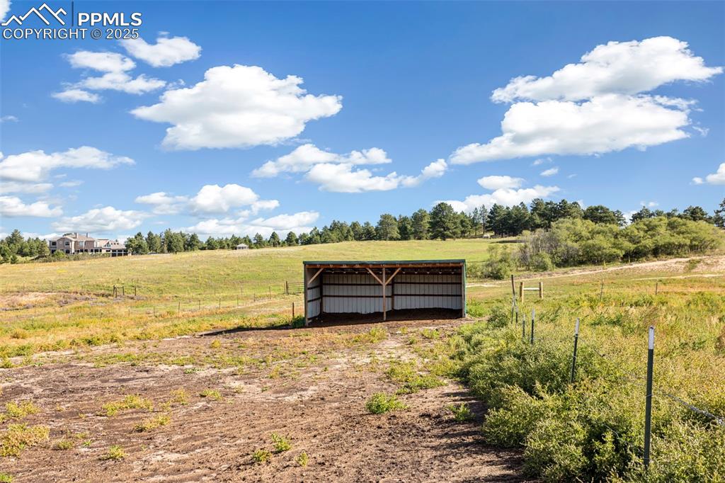 Image 46 of 49: Yard