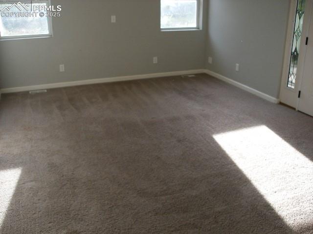 Image 45 of 45: Other