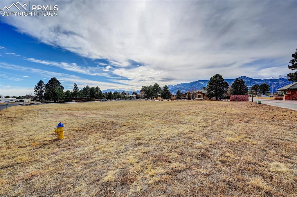 Image 16 of 20: Yard