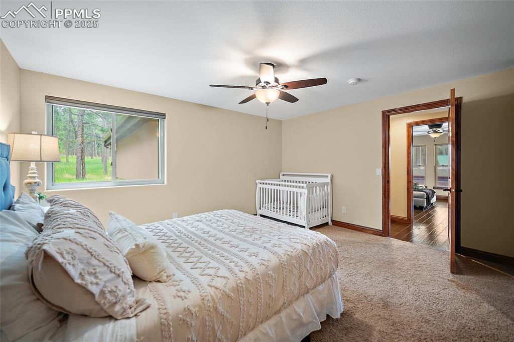Image 23 of 47: Carpeted bedroom with multiple windows and a ceiling fan