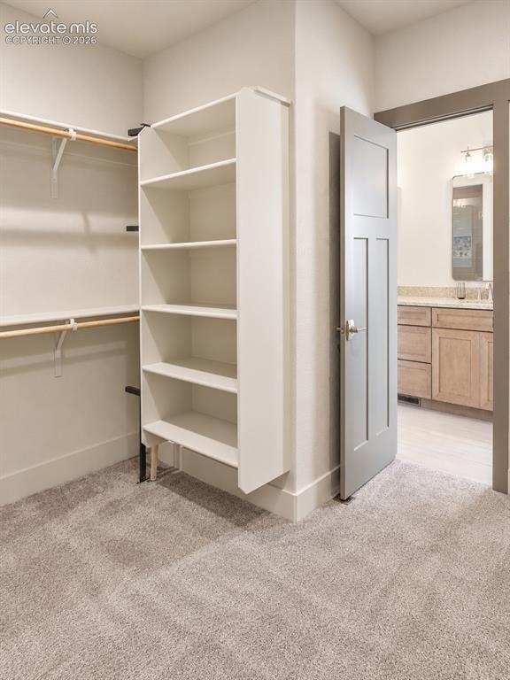 Image 29 of 44: Walk-in closet featuring carpet flooring, built-in shelving, and clothes ro