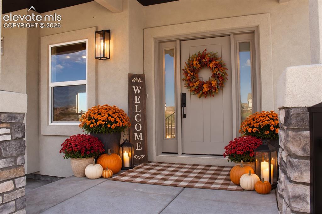 Image 5 of 44: Entryway featuring a panel door with sidelights, an overhead portico, a sin