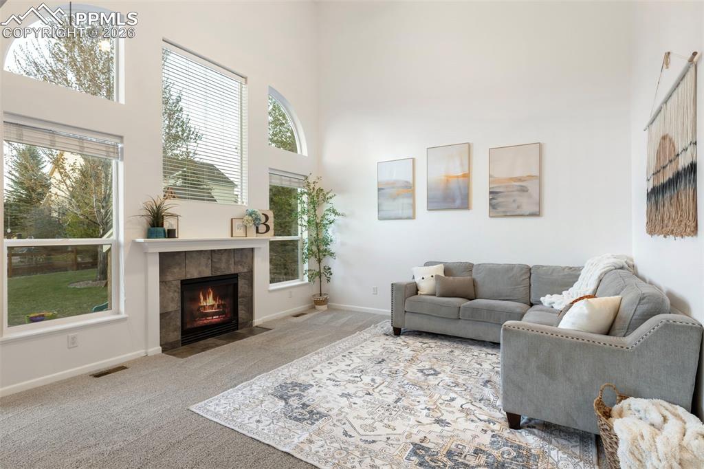 Image 18 of 47: Living Room