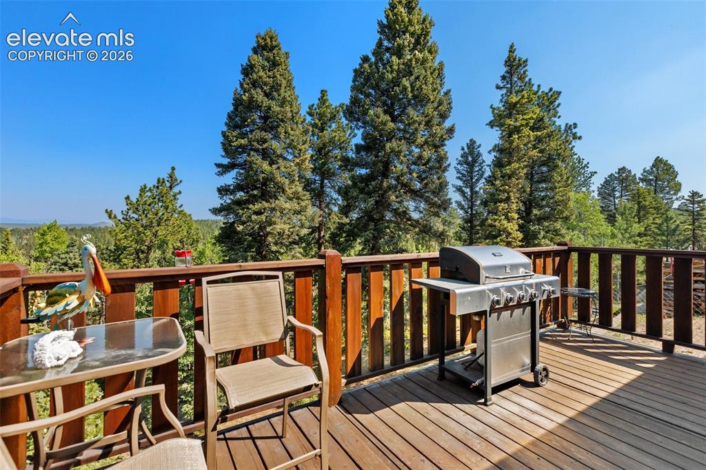 Image 13 of 42: Deck