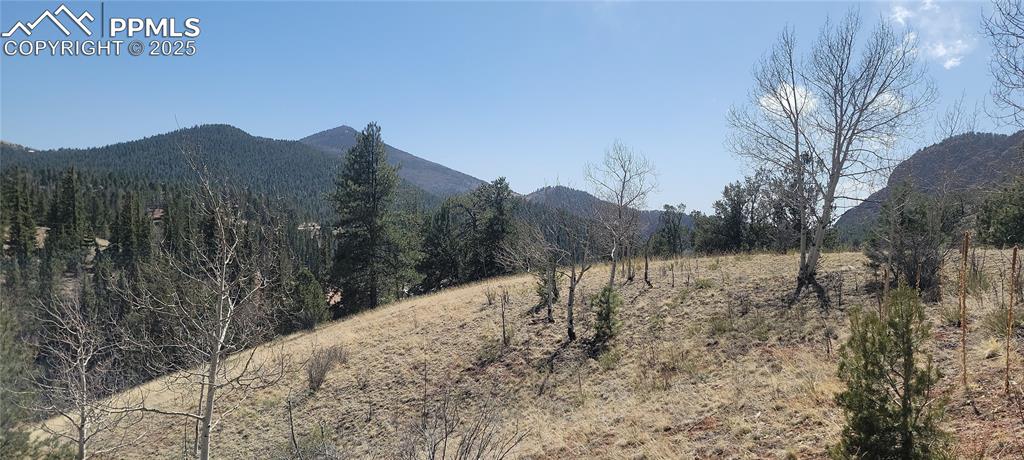 Image 12 of 13: View of mountain backdrop featuring rural landscape and a forest
