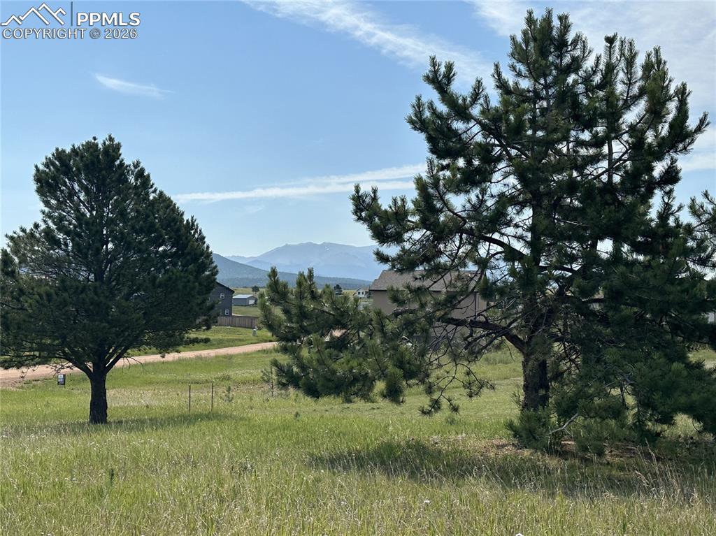 Image 4 of 17: View