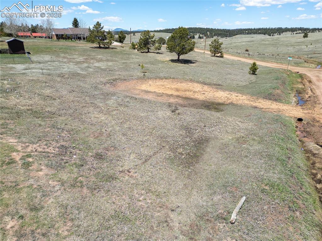 Image 9 of 17: Yard