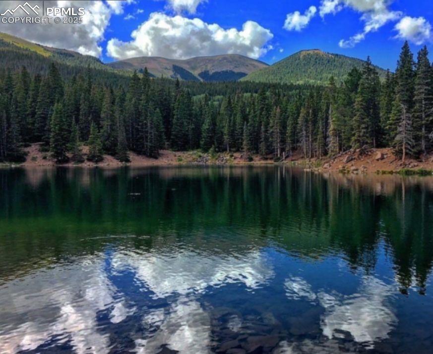 Image 9 of 12: SPANISH PEAKS MINING CAMP NEAR BY