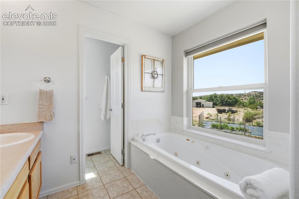 Image 34 of 49: Soaking tub with integrated jets, large window with roller shade, light woo