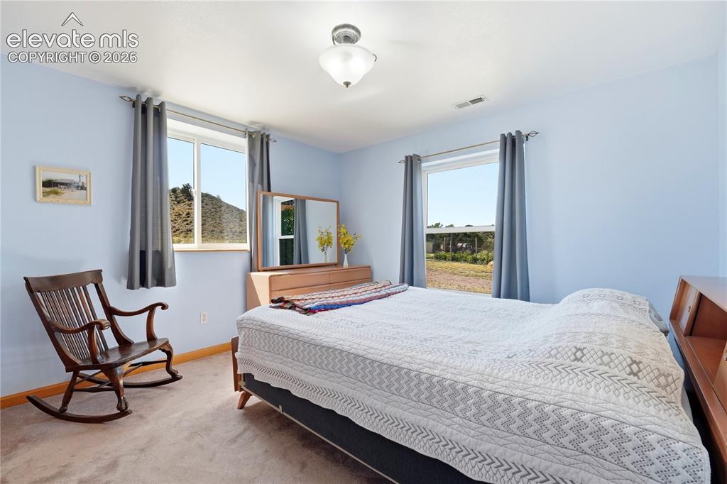 Image 35 of 49: Carpeted flooring, two windows with curtain rods, and a ceiling-mounted lig