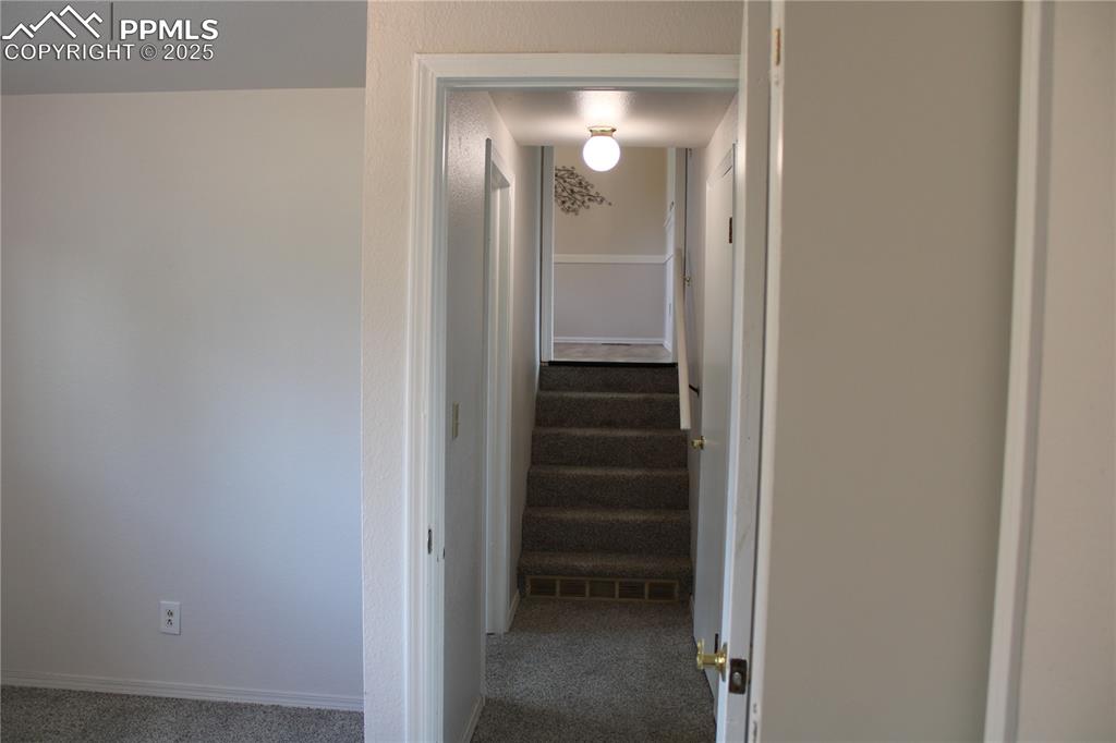 Image 14 of 35: Stairway featuring carpet floors and baseboards