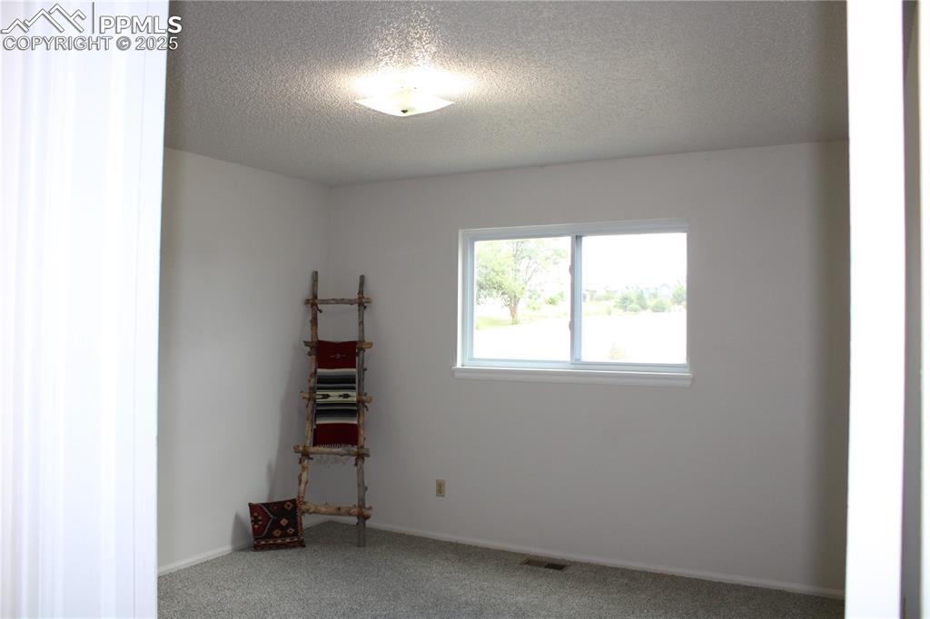 Image 18 of 35: Carpeted empty room with a textured ceiling and baseboards