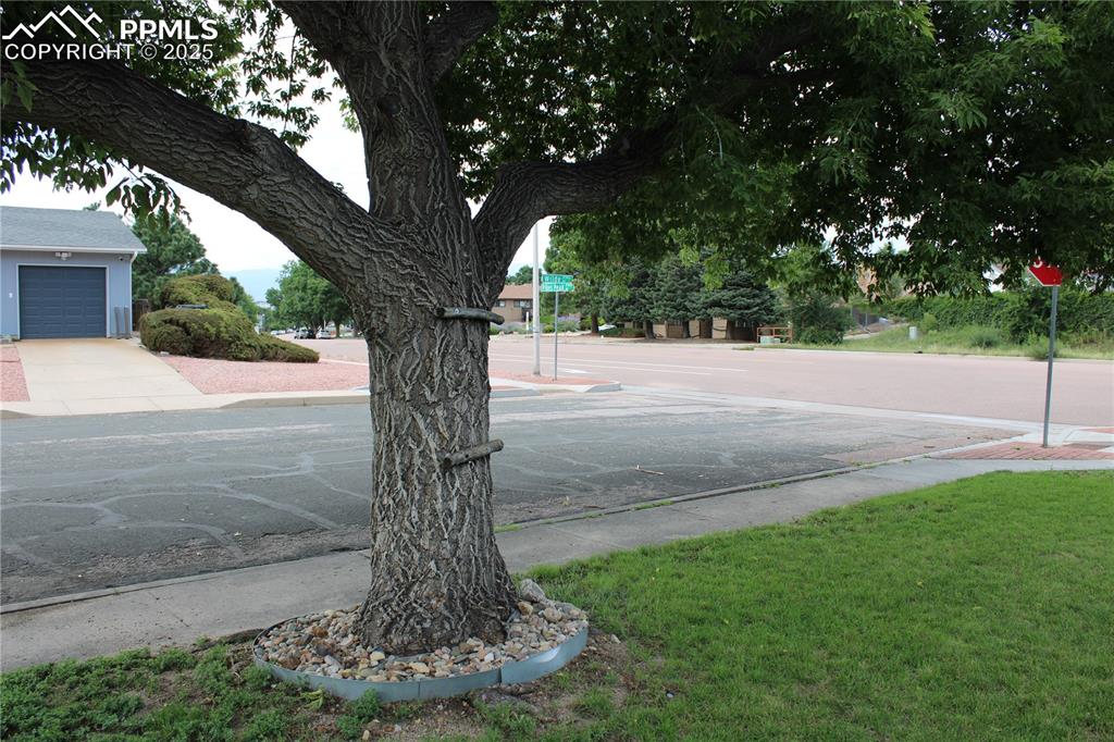 Image 33 of 35: Other