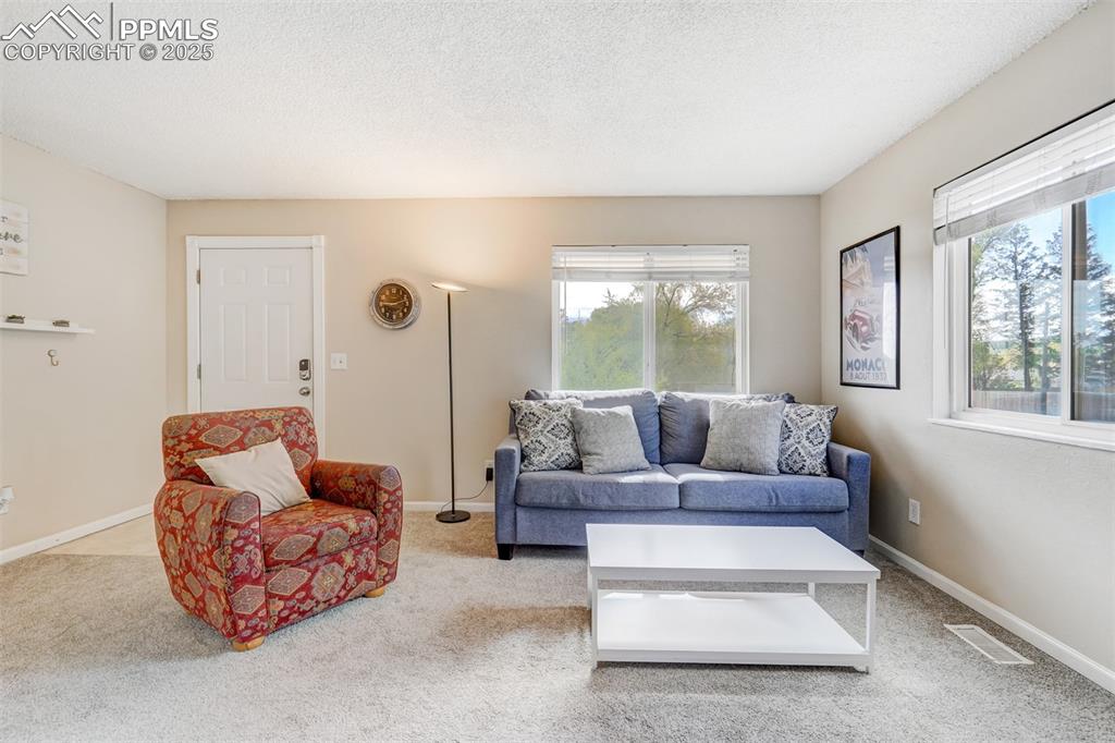 Image 6 of 25: Living room featuring carpet and a textured ceiling