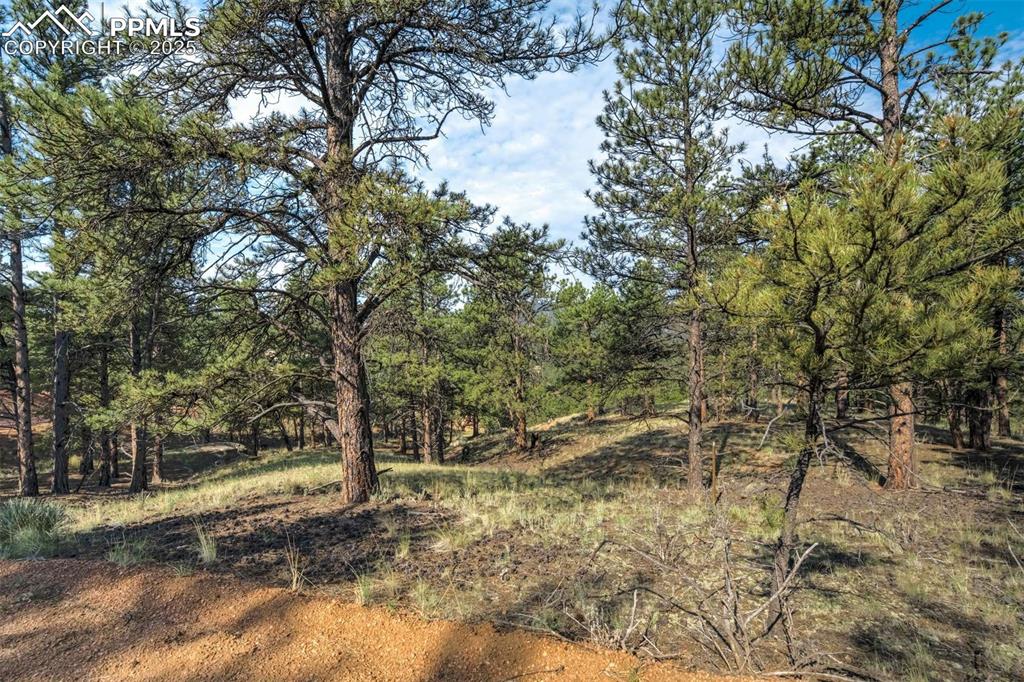 Image 10 of 25: Front of the Property at the road