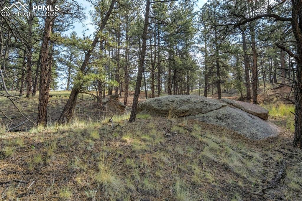 Image 14 of 25: View of undeveloped land