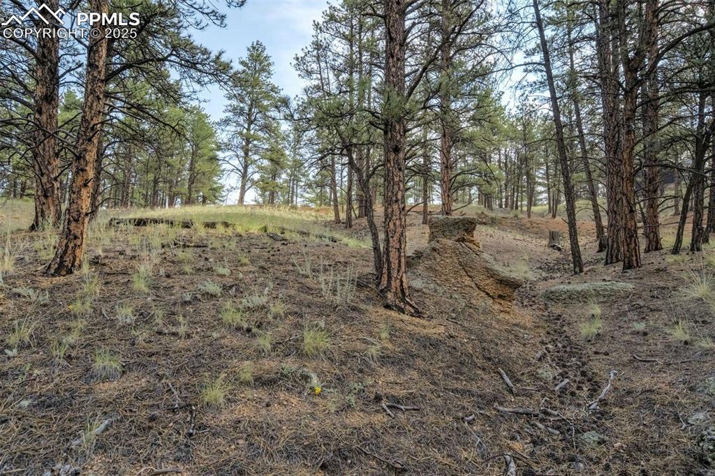 Image 15 of 25: View of undeveloped land