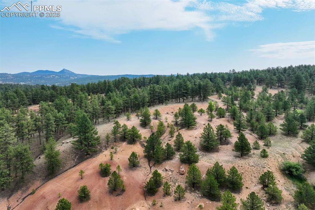 Image 6 of 25: Aerial view of a heavily wooded area and a mountainous background