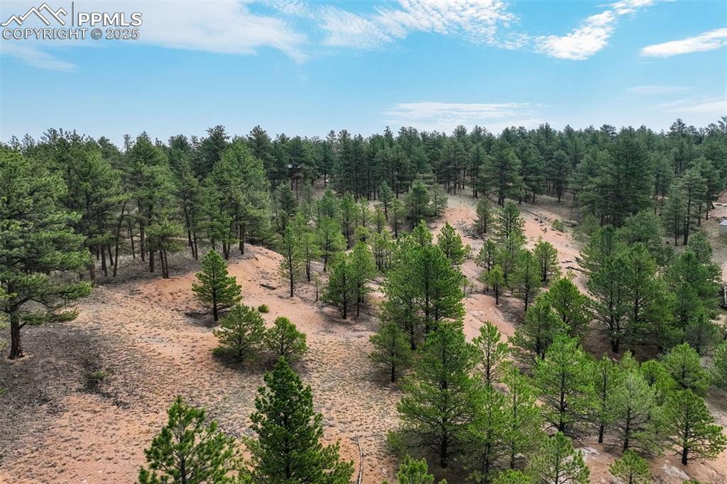 Image 8 of 25: View of wooded area