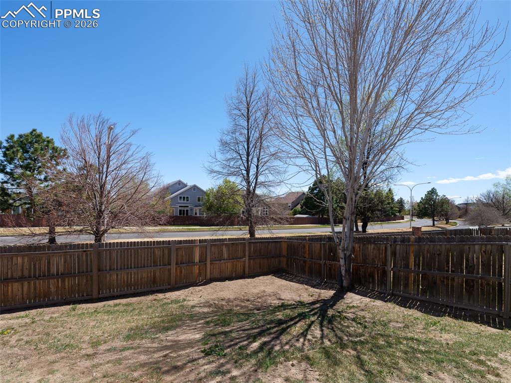 Image 29 of 38: Yard